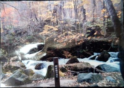 アンテナショップ