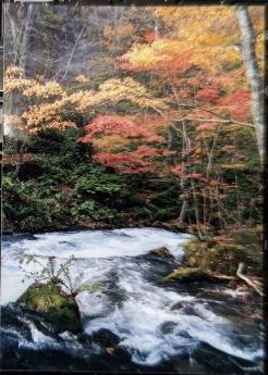 アンテナショップ