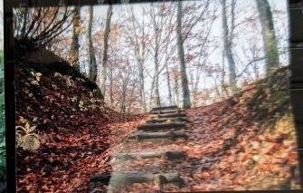 アンテナショップ