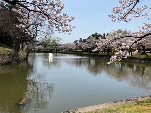 知ってるサイト